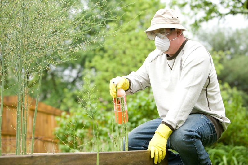 Pest Control Services